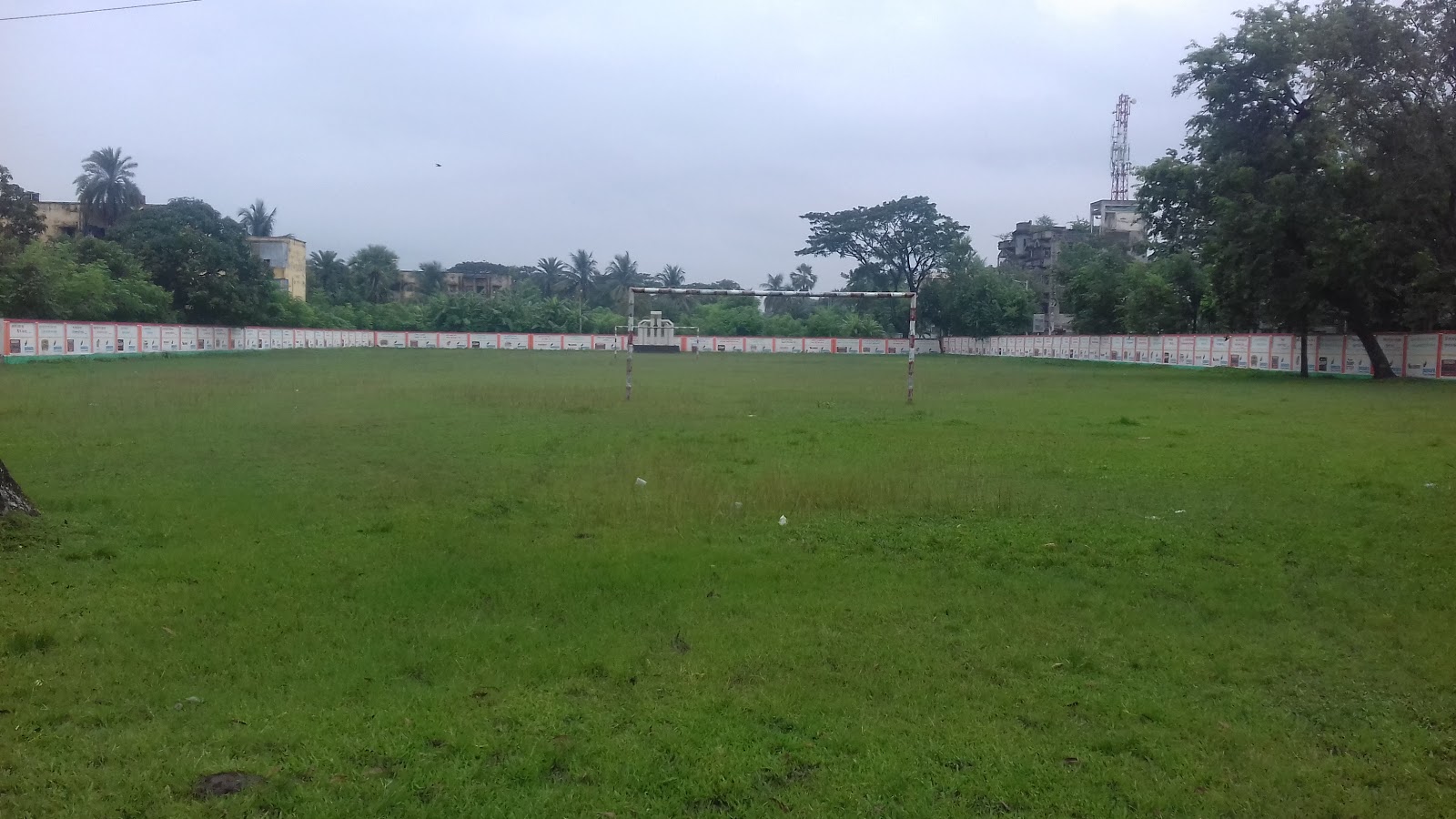 School Field